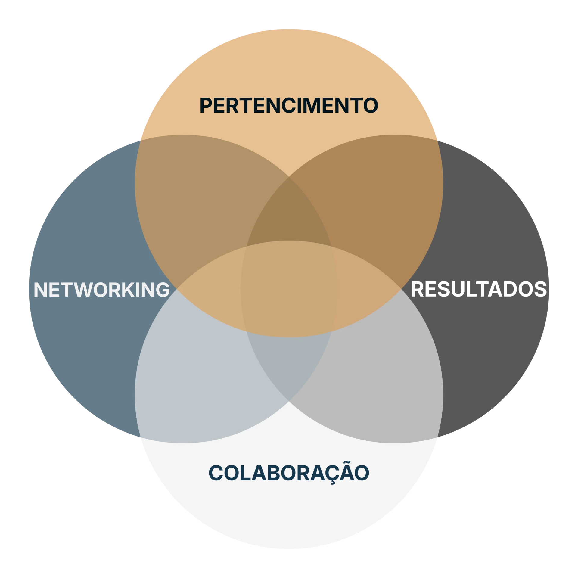 Diagrama dos pilares da comunidade: Pertencimento, Networking, Resultados, Colaboração
