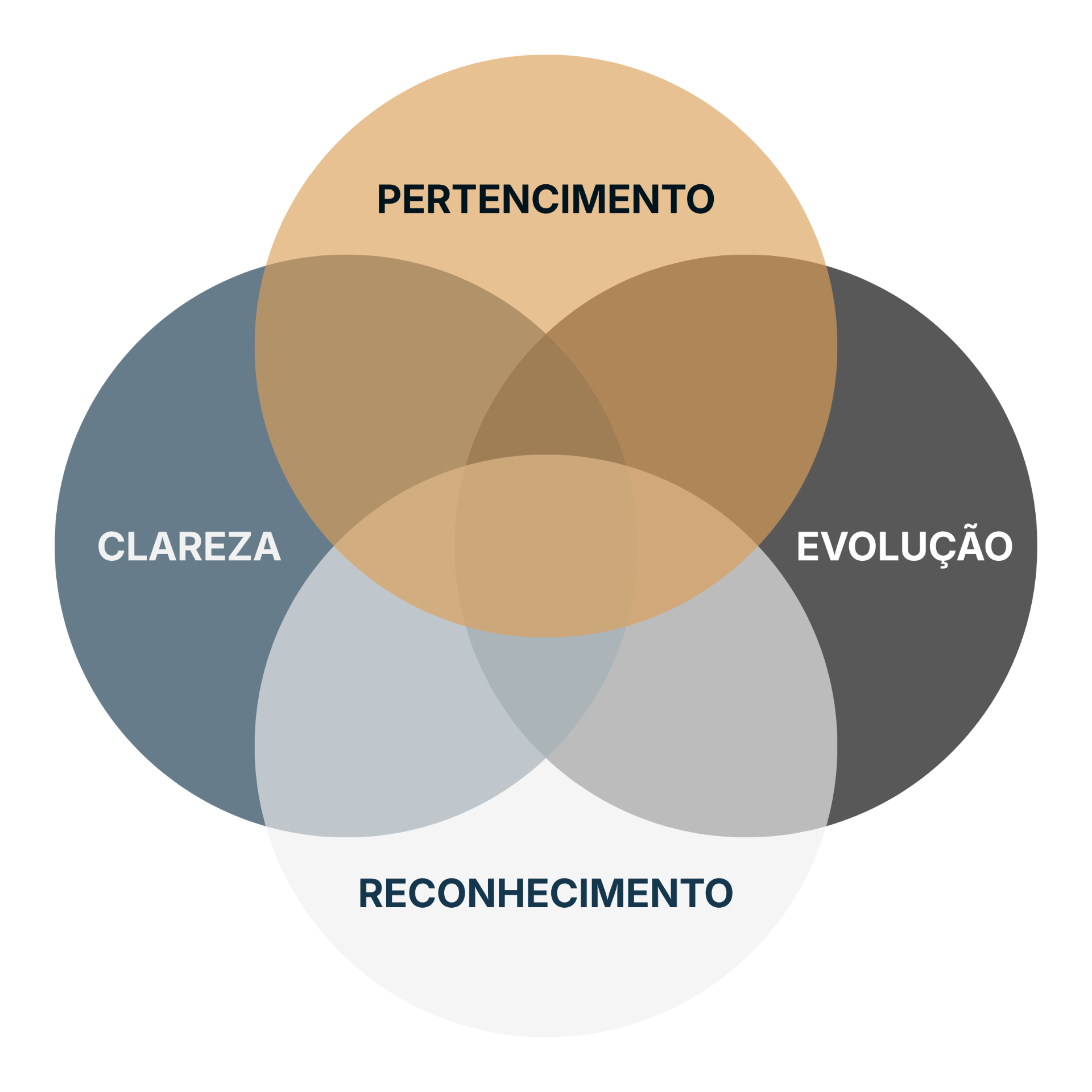Diagrama dos pilares da comunidade: Comunidade, Horizontal, Colaborativa, Exclusiva